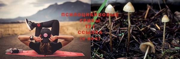 МДПВ Горно-Алтайск