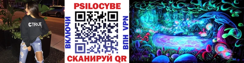 Купить закладки  Новоузенск  Галлюциногенные грибы мицелий 